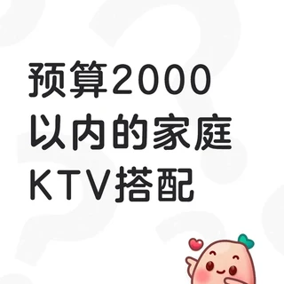 我的预算2000内的家庭KTV 搭配
