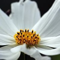 干性皮肤敏感肌用什么护肤品?