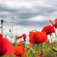 熟龄肌修护精华品牌十大排行榜