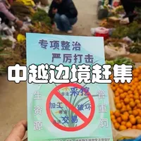 在云南边境货赶集，就像开盲盒，每周都能发现惊喜！ #赶集  #中越边境 #山货 #野生药材 #乡村生活