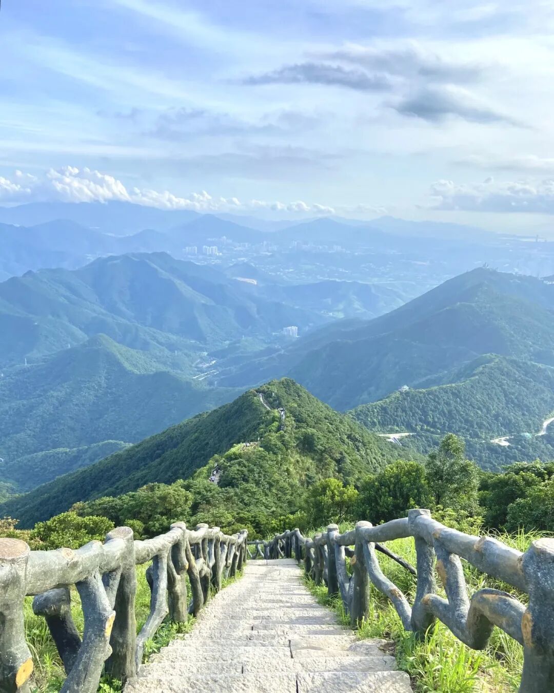 免门票！唯一我想每个季节都去的森林公园！春天杜鹃花海太震撼！！