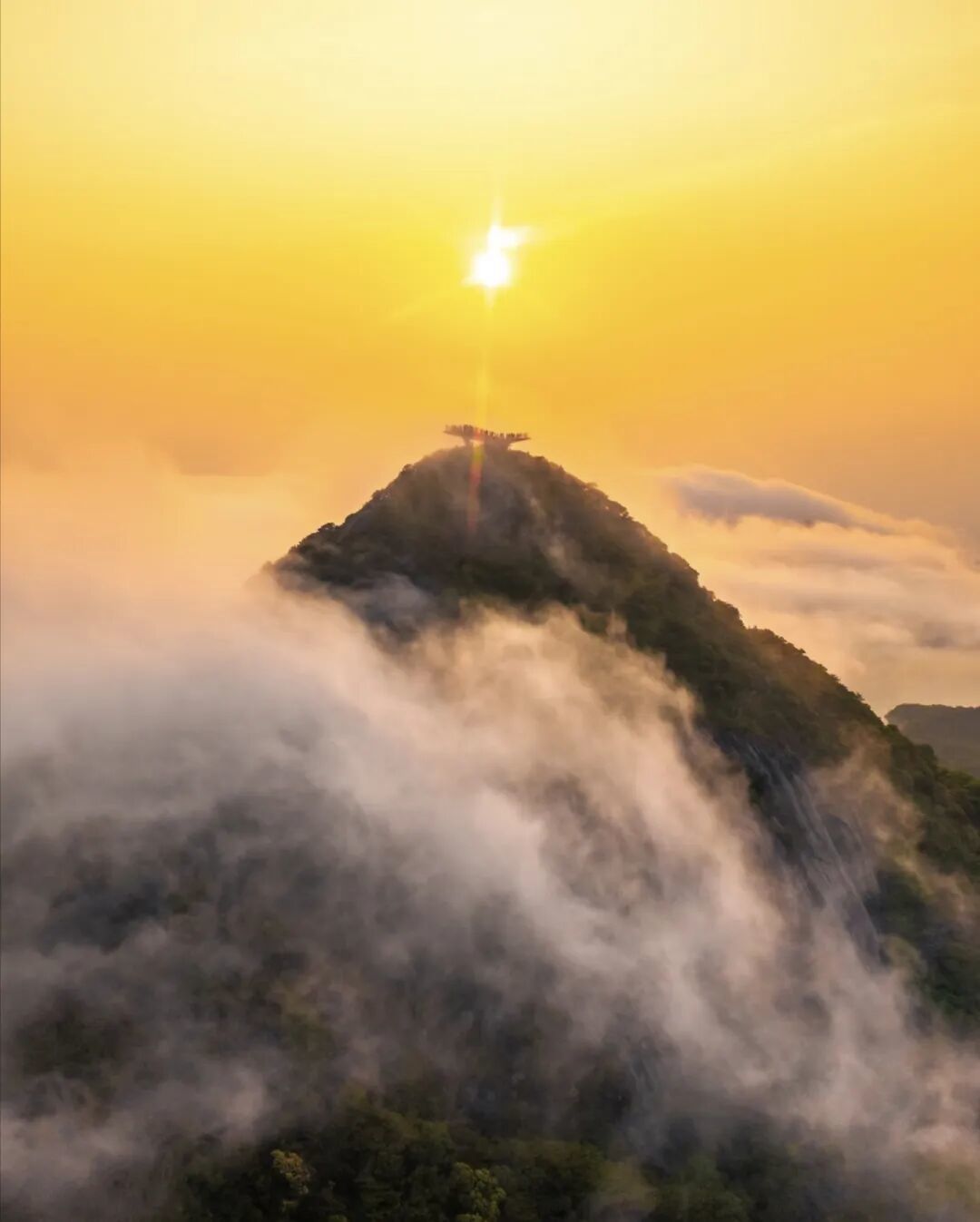 免门票！唯一我想每个季节都去的森林公园！春天杜鹃花海太震撼！！
