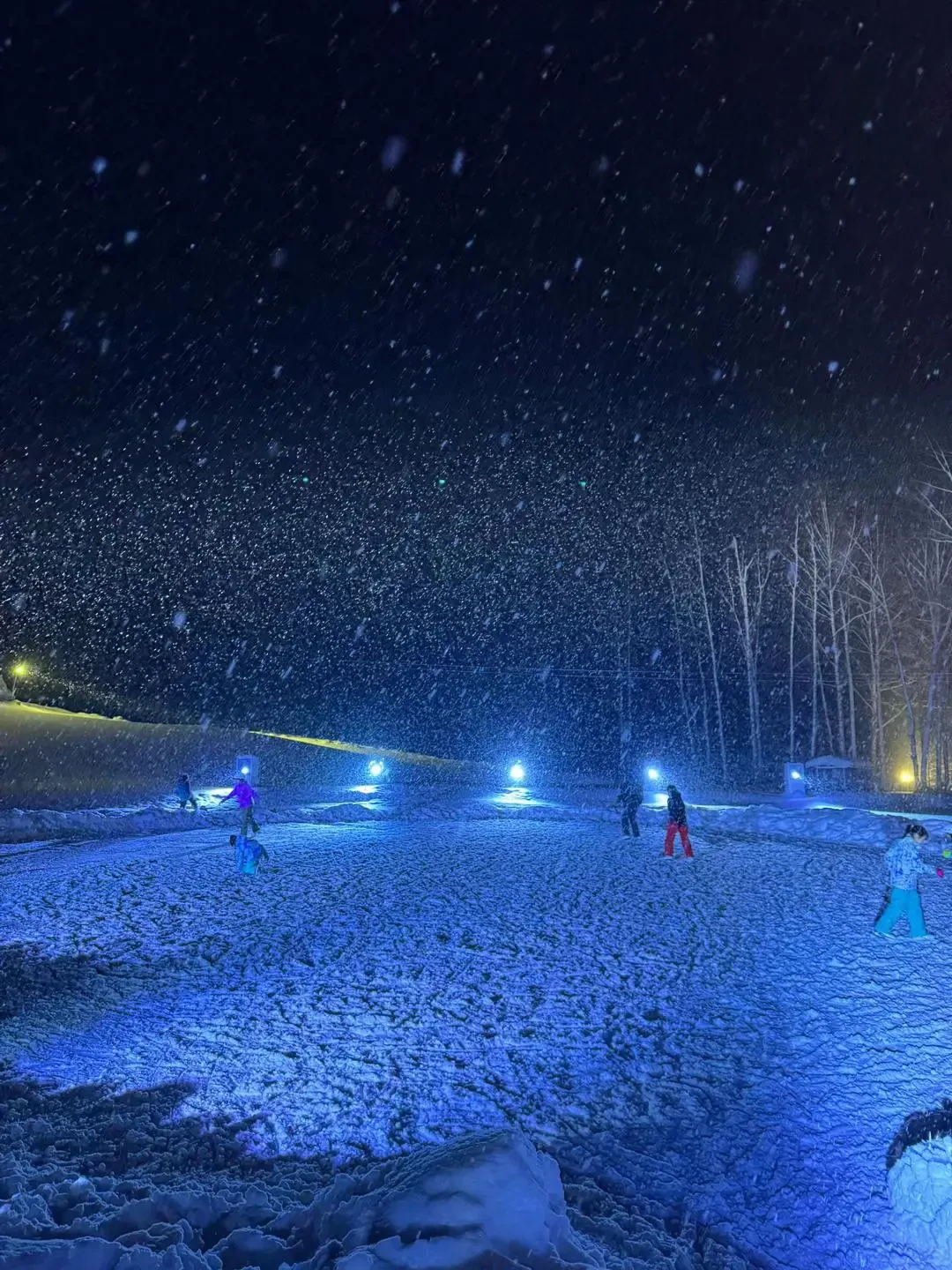 📍北海道星野TOMAMU度假村真的值得!