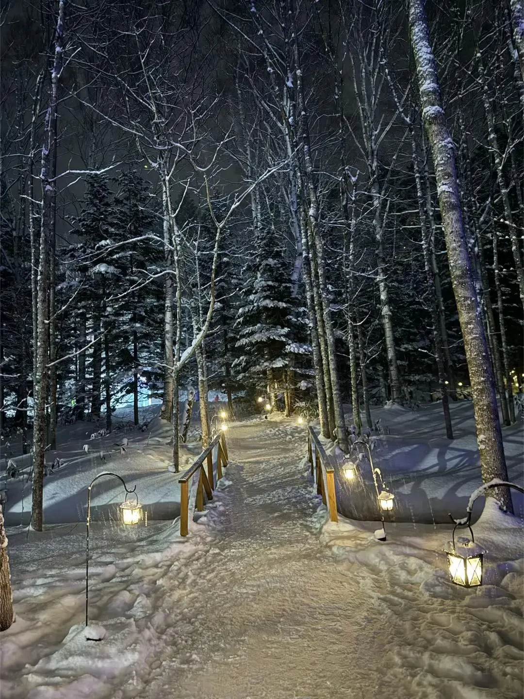 📍北海道星野TOMAMU度假村真的值得!