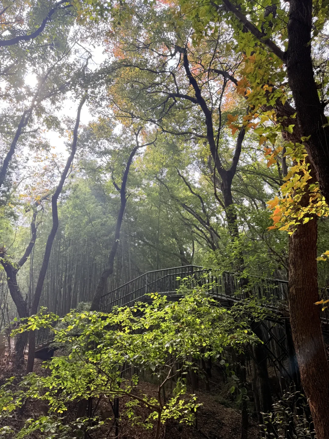 上班和上进之间，我选择上山🧗虞山徒步攻略