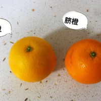赣南脐橙 vs 其他产地脐橙?128位用户真实体验告诉你答案