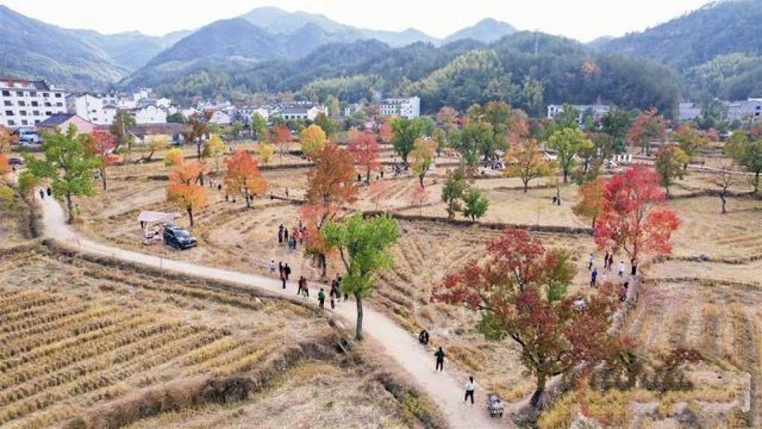九资河:寻梦鸠兹古国,醉美田园红叶