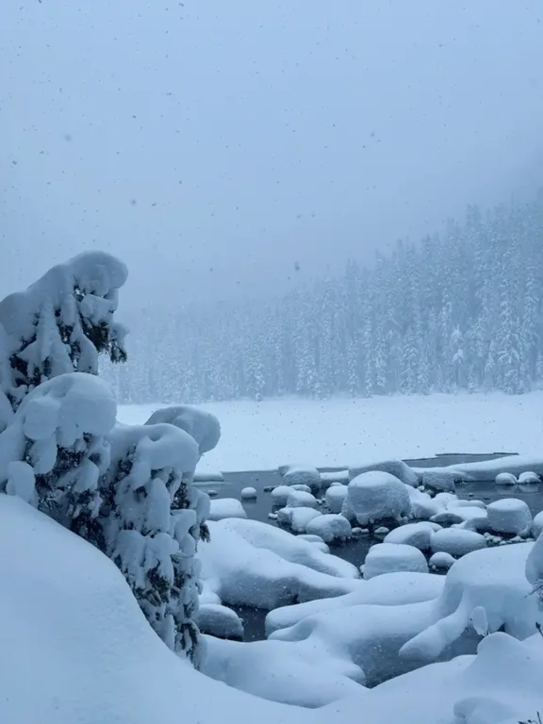 🇨🇦社长去了哪|加拿大的Joffre Lake❄️