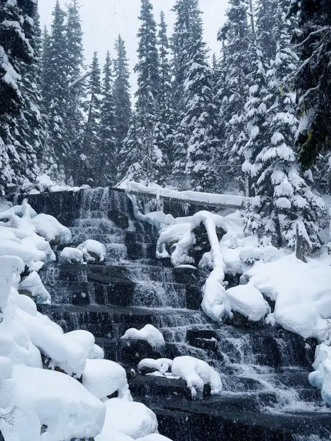 🇨🇦社长去了哪|加拿大的Joffre Lake❄️