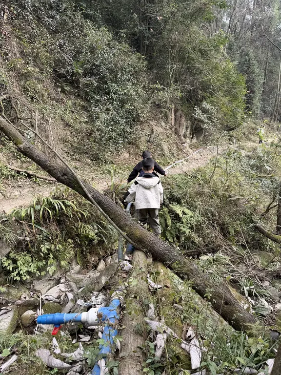 都江堰周家山环线，山脊徒步，每周一山107