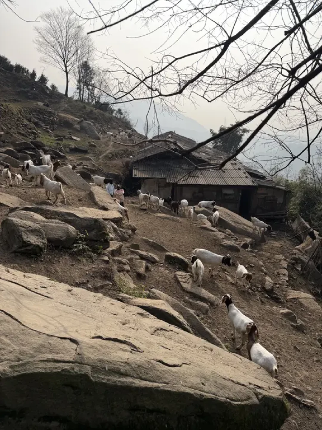 都江堰周家山环线，山脊徒步，每周一山107