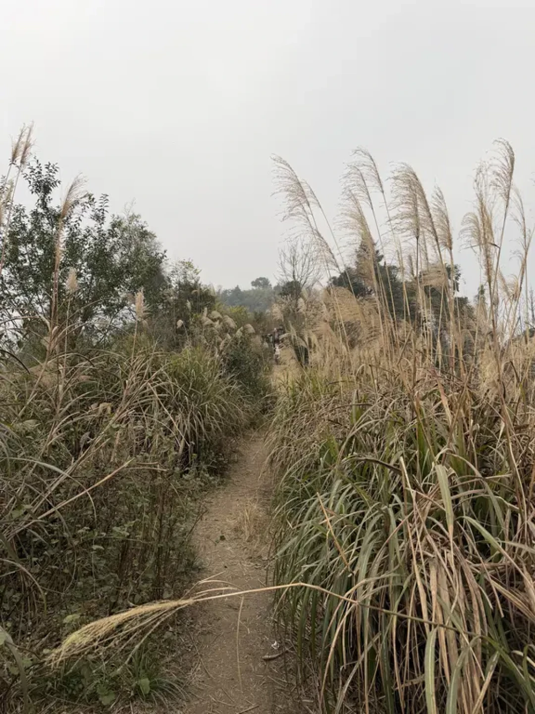 都江堰周家山环线，山脊徒步，每周一山107