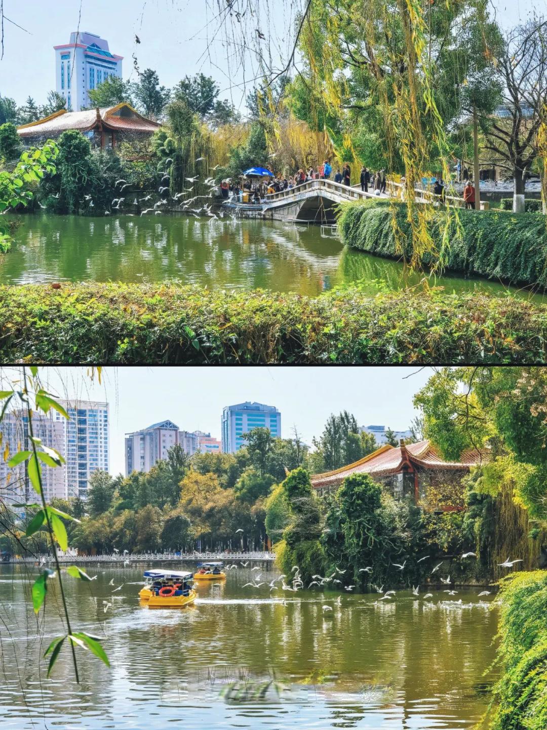 昆明|翠湖及周边人文半日游citywalk路线