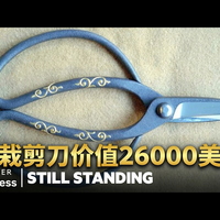 【中配】为什么盆栽剪刀能卖到26000美元,日本匠人传承 - Business Insider