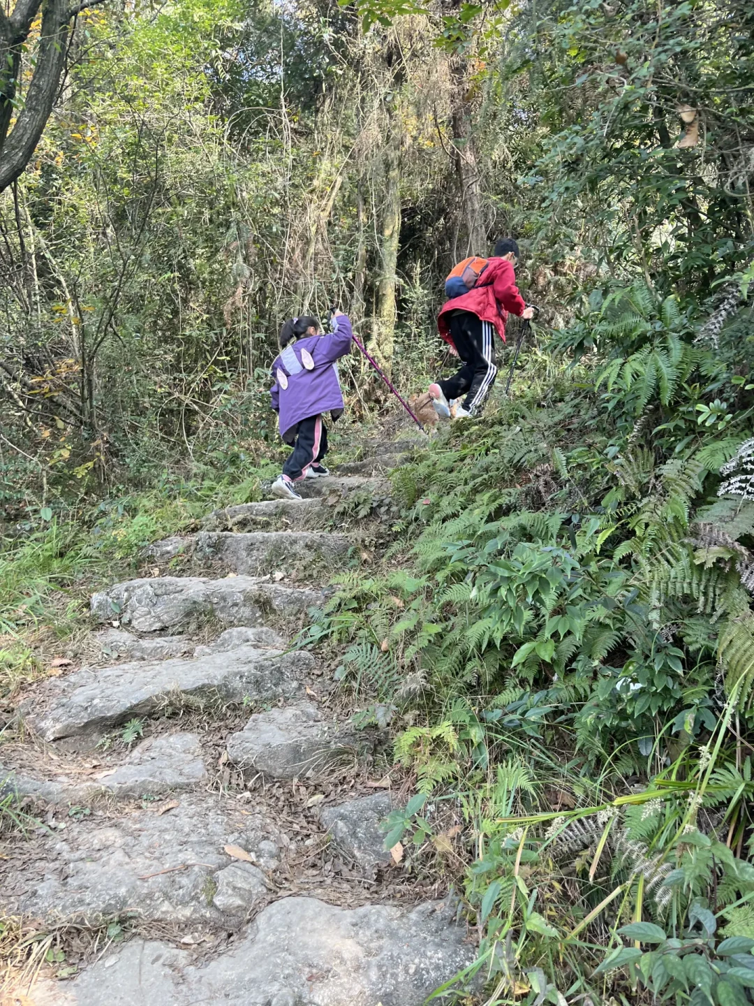 绵阳1h直达!顶云观+马掌石+神仙洞全攻略✨