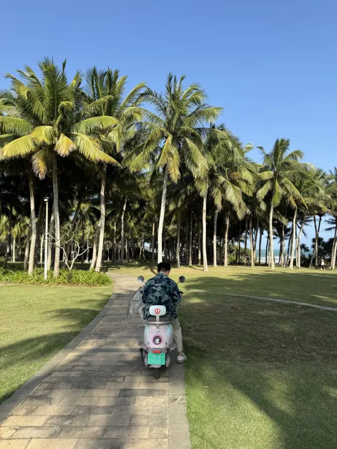 环海南岛自驾🚗博鳌站📍有点惊喜(含攻略)