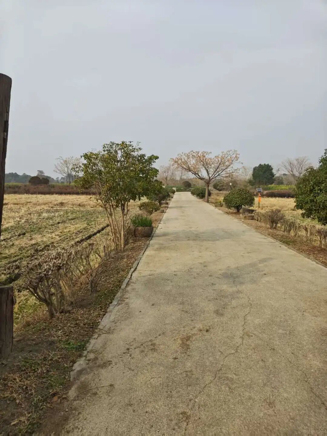 探访桐乡7000年前的罗家角遗址(上)