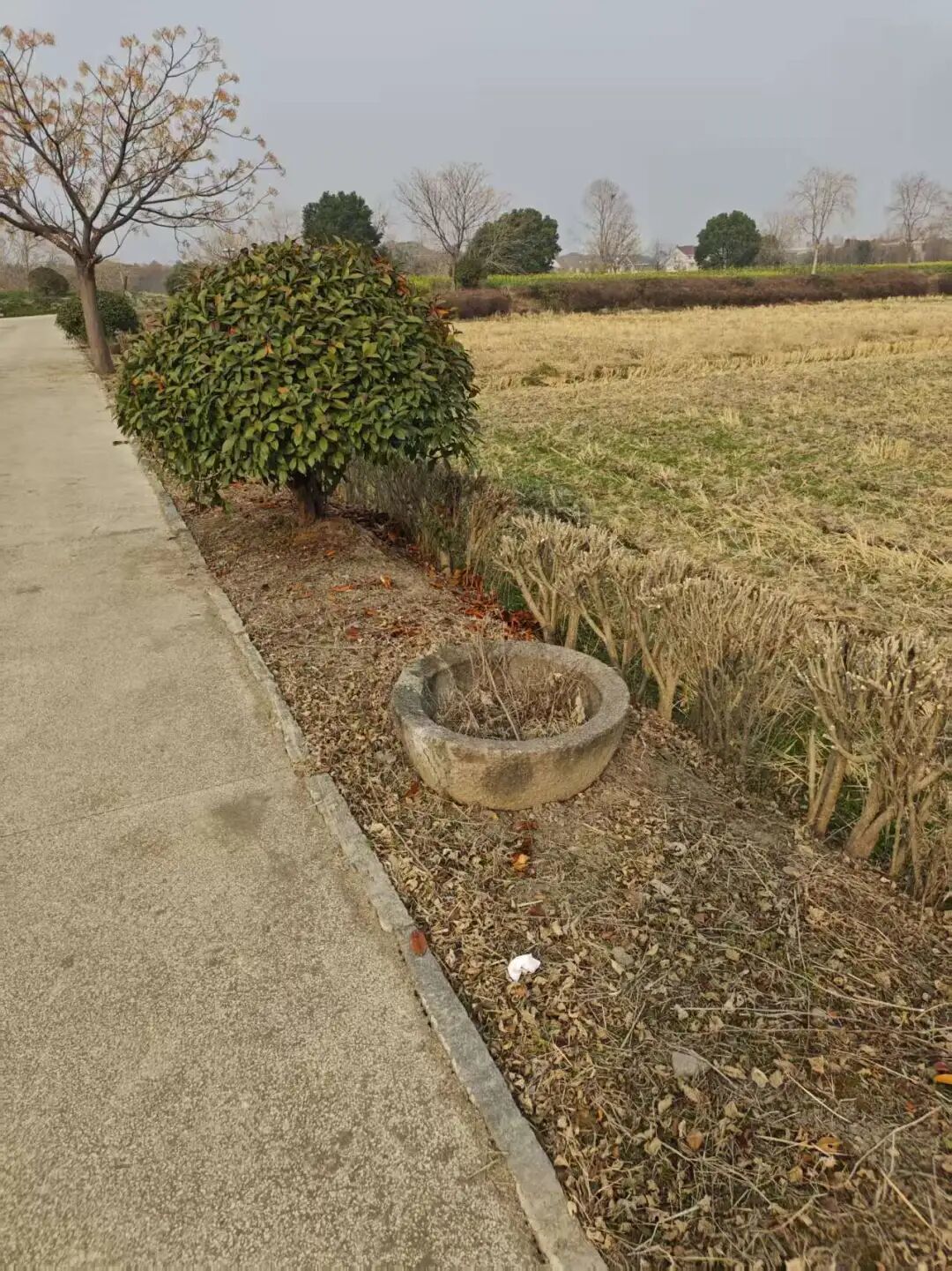 探访桐乡7000年前的罗家角遗址(上)