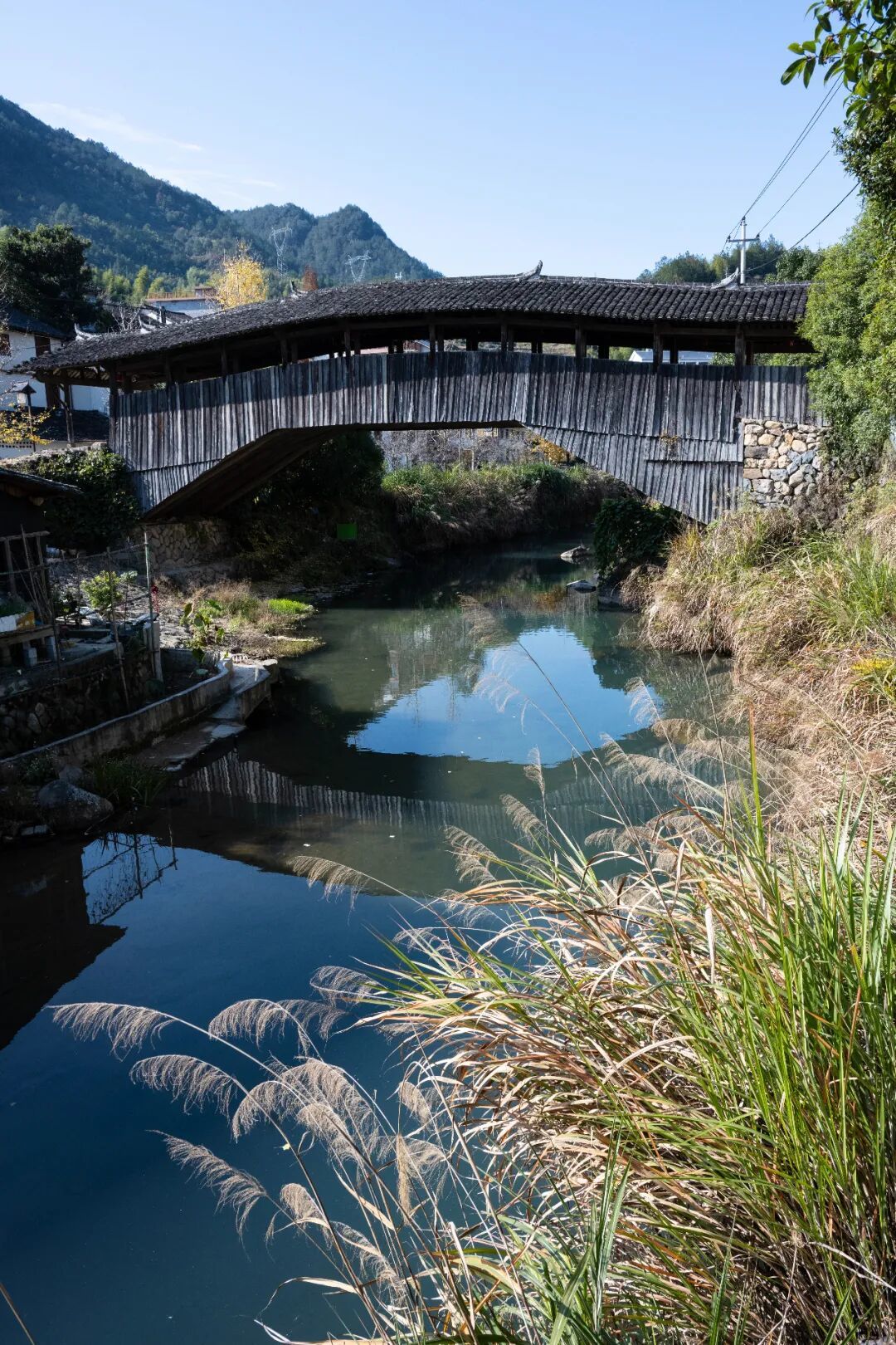 景宁访古记