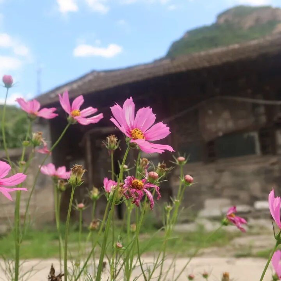 打捞旧时光:六座京西小众古村