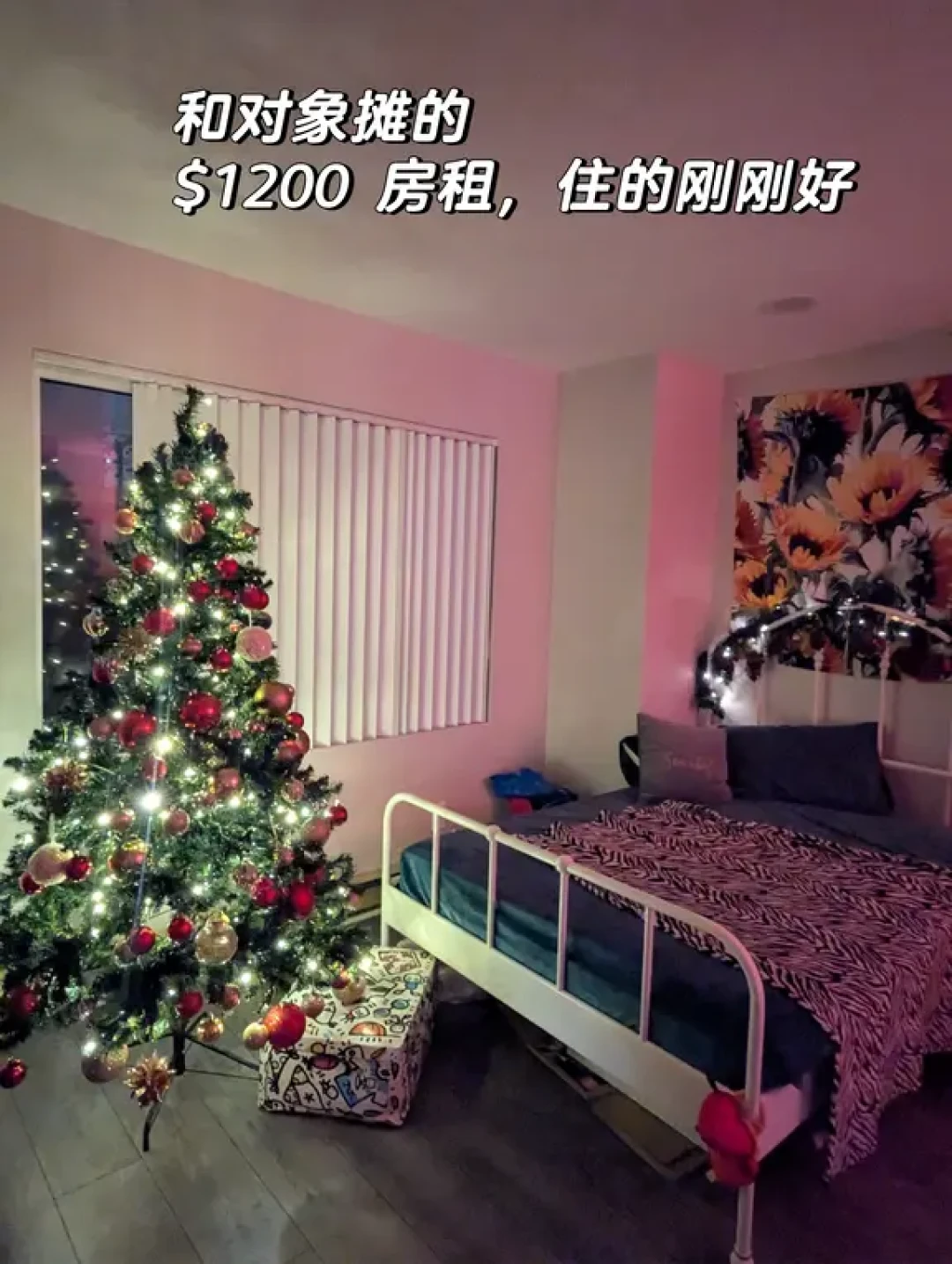多伦多月薪$4700|我最省钱的三个习惯