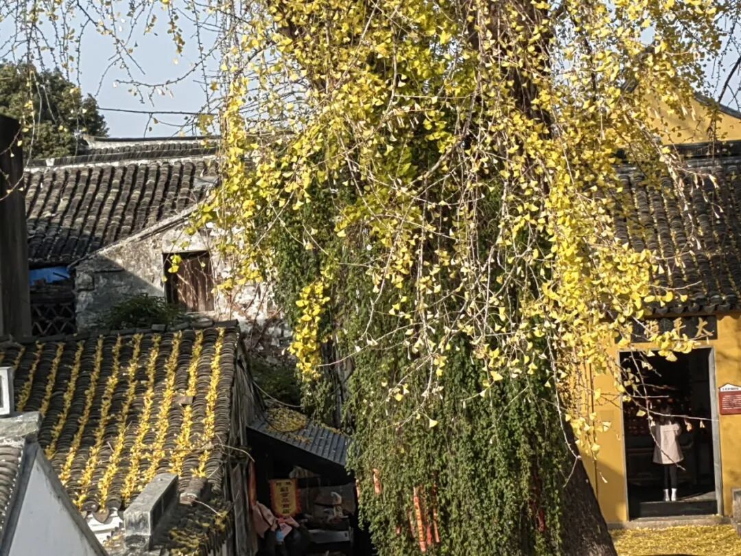 漫步古镇老街——太平