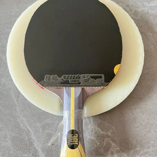 百元乒乓球拍 vs 高端品牌：新手该选谁？1000+用户真实观点大PK