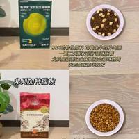 单一猫粮喂养 vs 多样化饮食？328位铲屎官真实观点大汇总