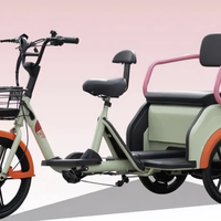 低速电动三轮车 vs 新国标电动自行车？我们汇总了128位用户真实体验，结论在这