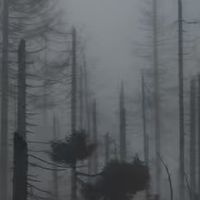 洗车用品选择：避开这些坑，保护车漆不损坏