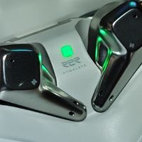 疯了！中鹅竟312？全网都在抢的神价来了！