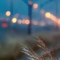 跨界品牌联动，实现资源互补共赢