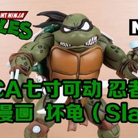 【潘达曼的模玩空间】第256期 [NECA] [忍者神龟：阿奇漫画] [坏龟] [SLASH]