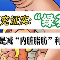 被研究证实:绿茶,为何是减“内脏脂肪”利器?