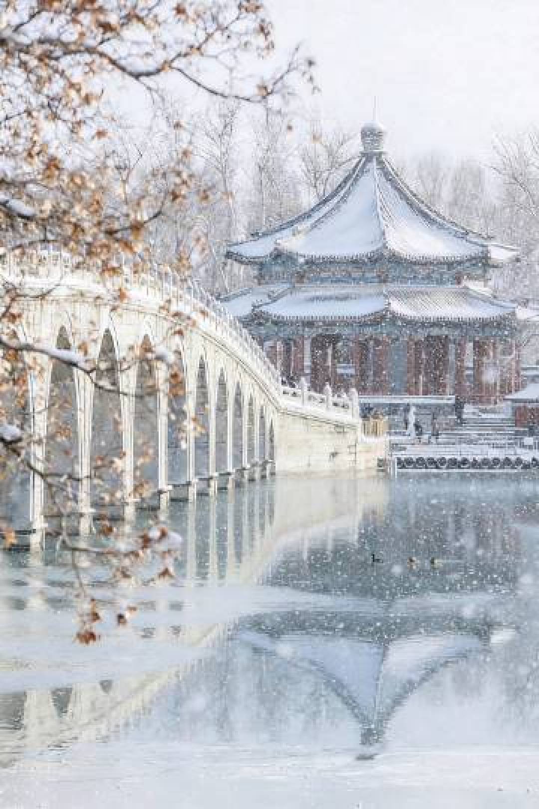 雪落颐和园,一幅流动的古典水墨画卷就此徐徐展开
