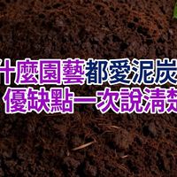 保水又透气？泥炭土没告诉你的缺点其实不少