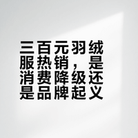 三百元羽绒服热销，是消费降级还是品牌起义？