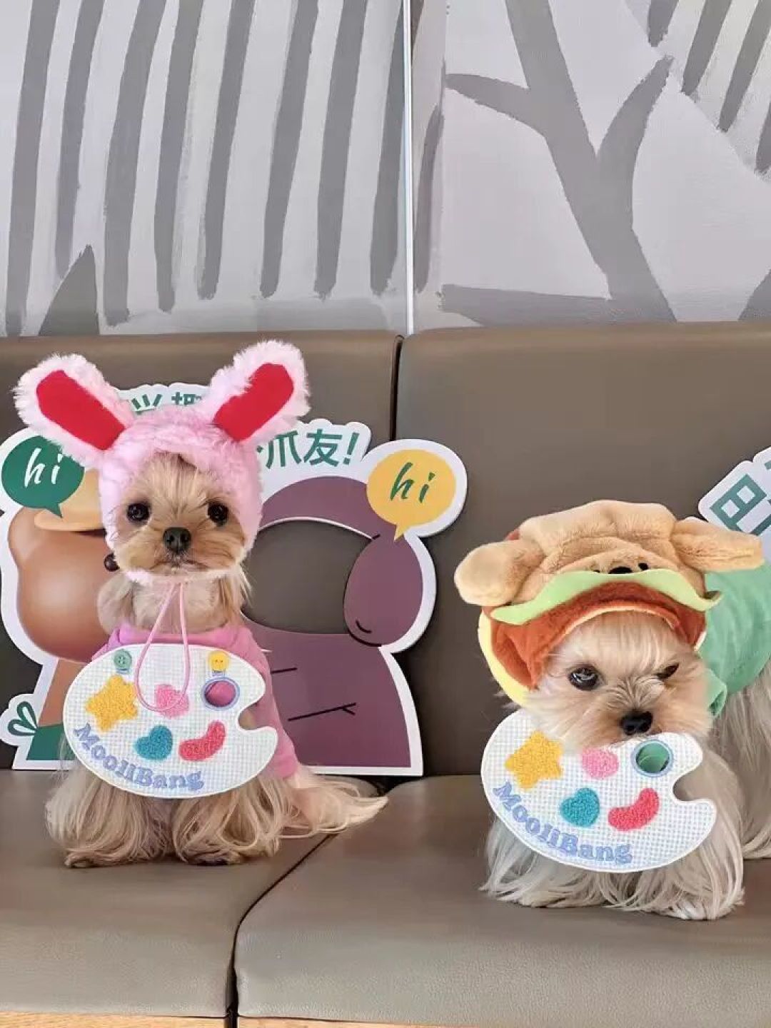 狗狗的那些社交方式~