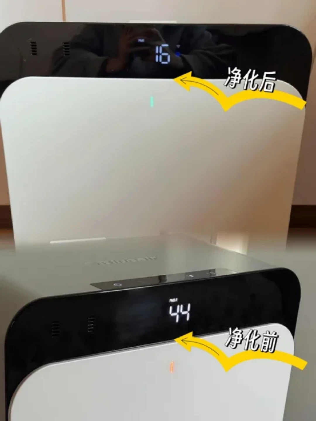 和CP7i磨合4个月，我和过敏性鼻炎和解了