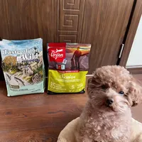 2025泰迪狗一年喂过的老年犬狗粮（记录一下）