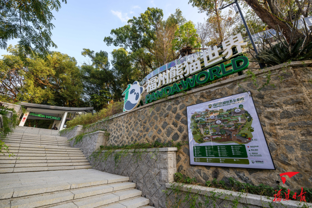 新熊猫天团来了,你还记得那个名叫“巴斯”的传奇吗?