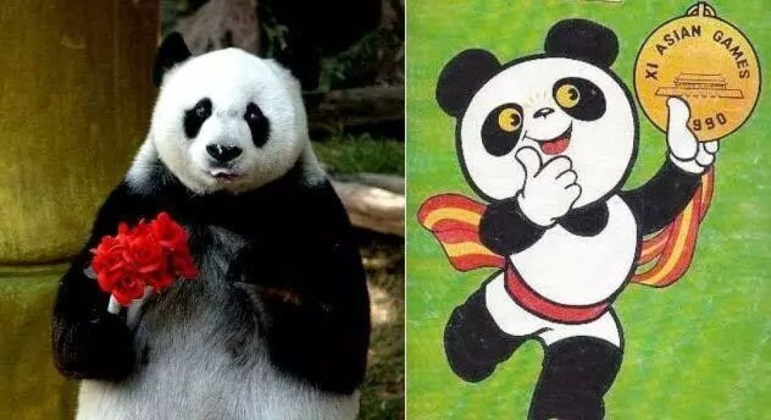 新熊猫天团来了,你还记得那个名叫“巴斯”的传奇吗?