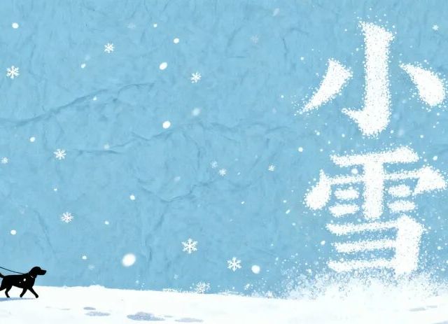 小雪丨比羽绒服更暖的，是萨博拉维和它！