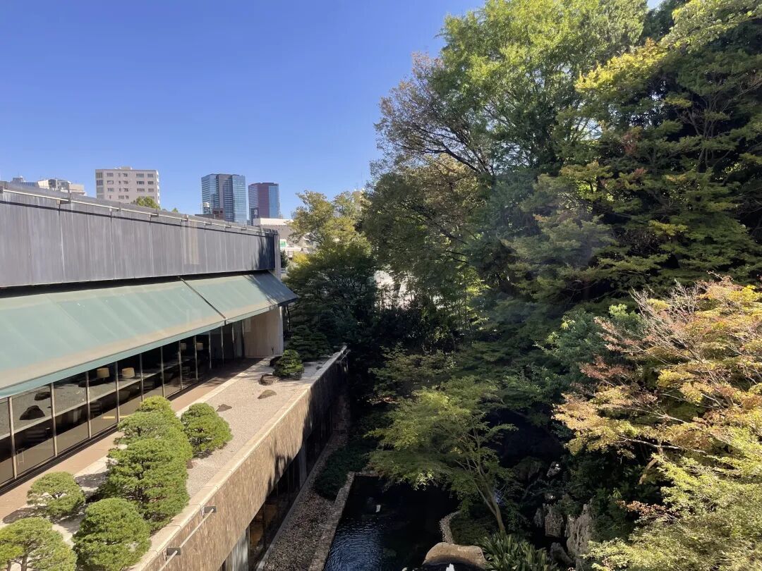 东京|喜来登都酒店 入住白金台的老派安静