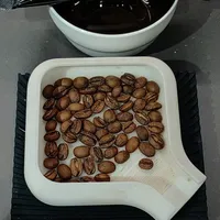 【嗜豆人²⁵】辛鹿咖啡——雷利达日晒瑰夏