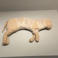 🇭🇰香港有史以来最强古埃及展上线故宫‼️