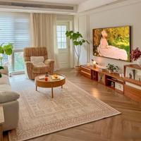 想买一个电视，什么牌子性价比比较高？