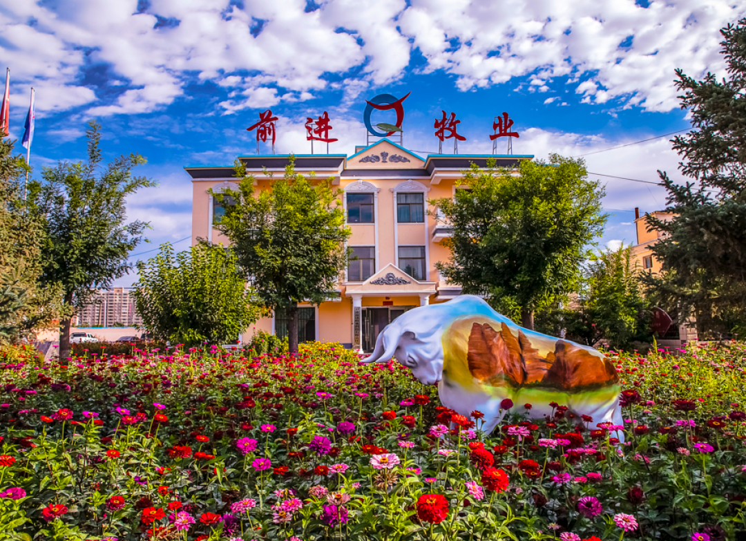 79元抢3箱!“吃货大省”的经典牛奶:国家级牧场、3.6g高蛋白、香醇不腻,好喝还实惠