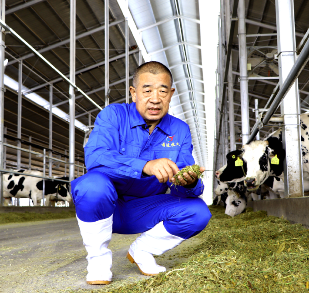 79元抢3箱!“吃货大省”的经典牛奶:国家级牧场、3.6g高蛋白、香醇不腻,好喝还实惠