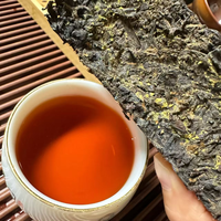 咸阳茯茶非遗展览馆 | 办公室养生党福音：便携茯茶的N种花式喝法